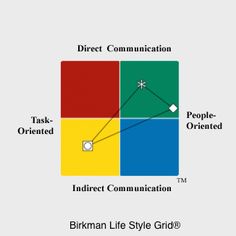 The Birkman Method Lifestyle Grid